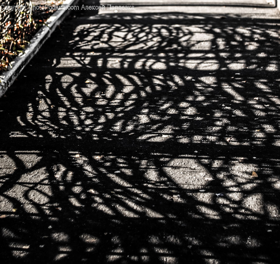 Patio, Pergola, Porch, Boardwalk, Deck, Path, Sidewalk