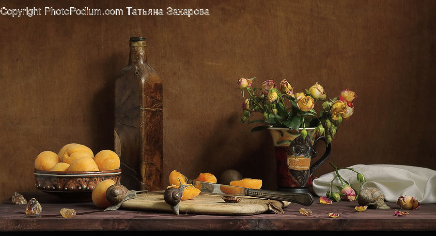 Plant, Potted Plant, Glass, Goblet, Bottle, Blossom, Flower