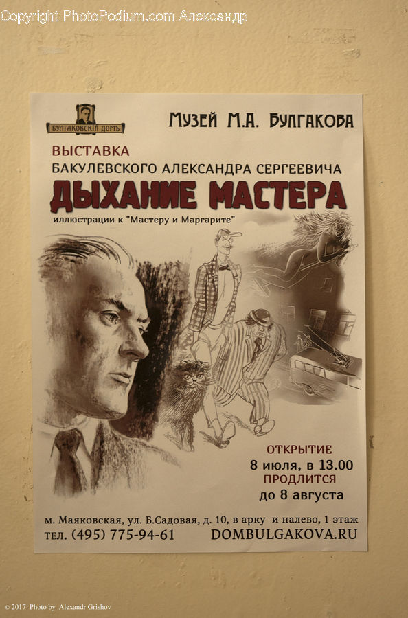 Brochure, Flyer, Poster, License, Text