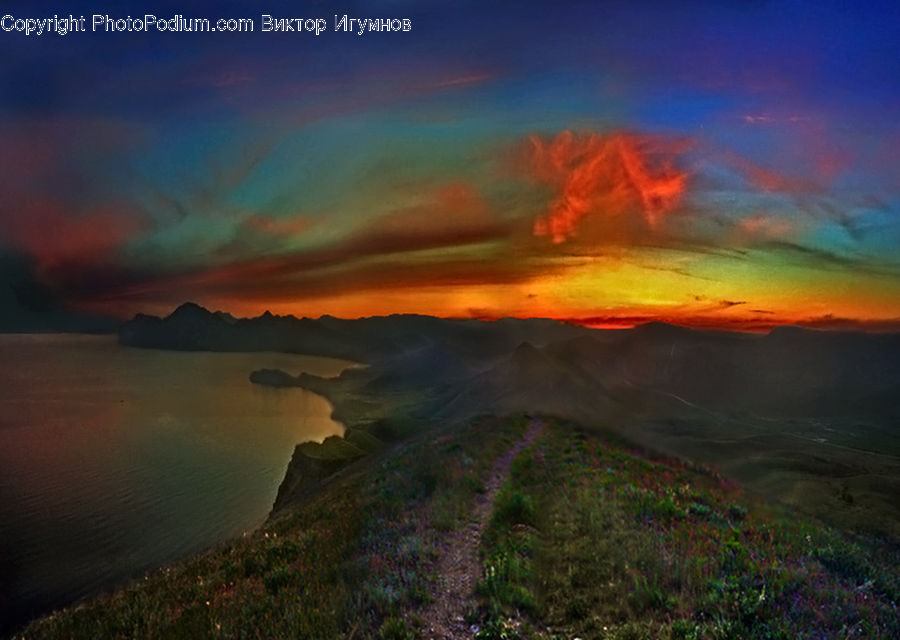Plant, Vegetation, Dawn, Dusk, Sky, Sunrise, Sunset