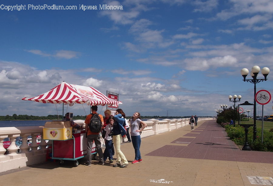 People, Person, Human, Plant, Potted Plant, Boardwalk, Deck