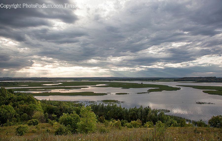 Field, Grass, Grassland, Land, Outdoors, Cloud, Cumulus