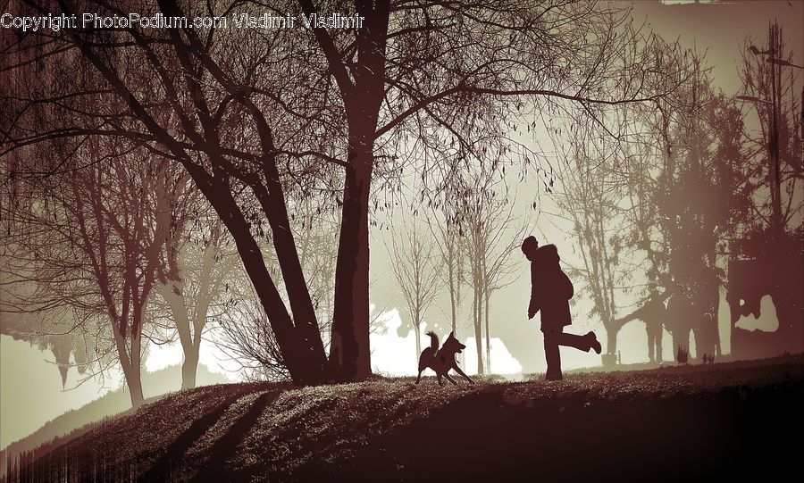 People, Person, Human, Silhouette, Exercise, Fitness, Jogging