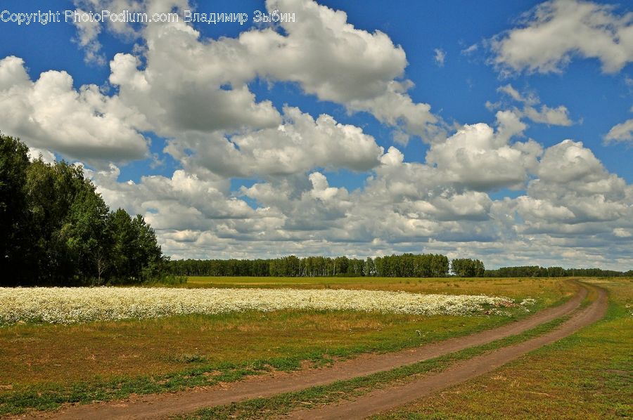 Dirt Road, Gravel, Road, Cloud, Cumulus, Sky, Azure Sky