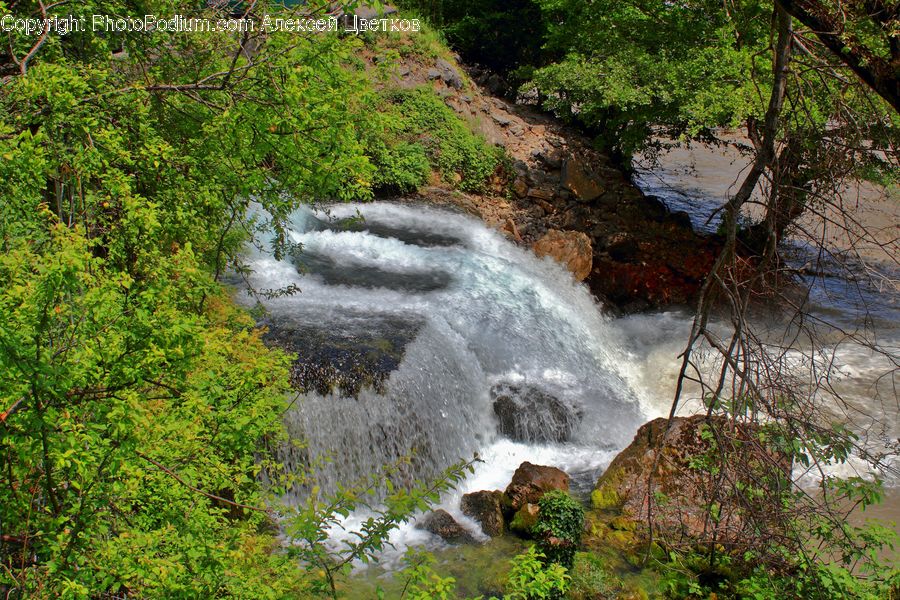 Creek, Outdoors, River, Water, Waterfall, Forest, Jungle