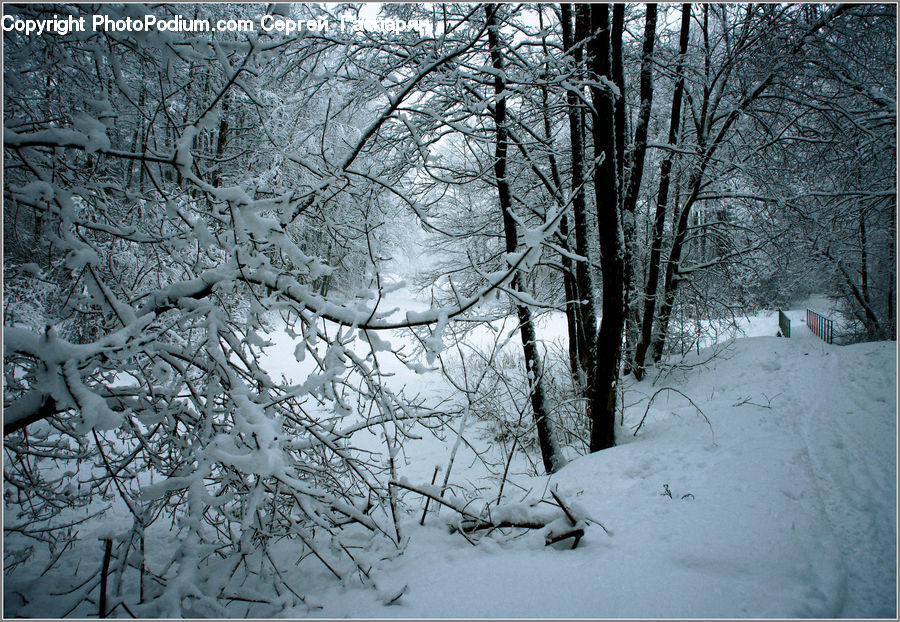 Landscape, Nature, Scenery, Ice, Outdoors, Snow