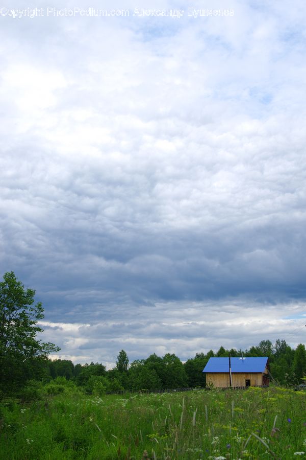 Field, Grass, Grassland, Land, Outdoors, Cabin, Hut