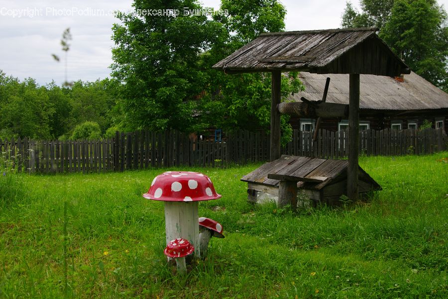 Cabin, Hut, Rural, Shack, Shelter, Fence, Forest