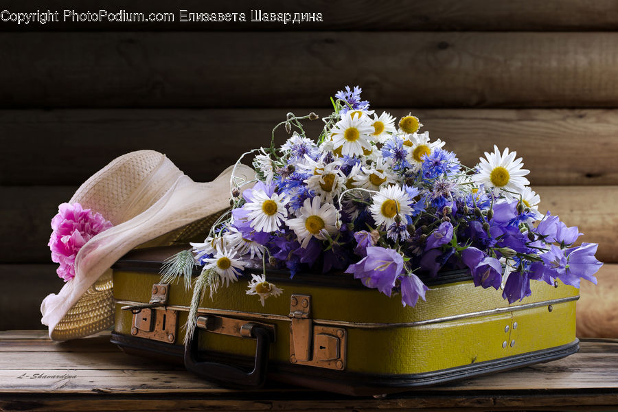 People, Person, Human, Floral Design, Flower, Flower Arrangement, Flower Bouquet