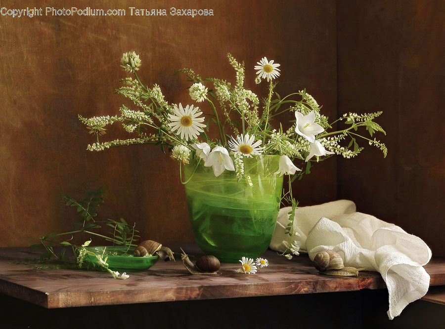 Plant, Potted Plant, Floral Design, Flower, Flower Arrangement, Flower Bouquet, Ikebana