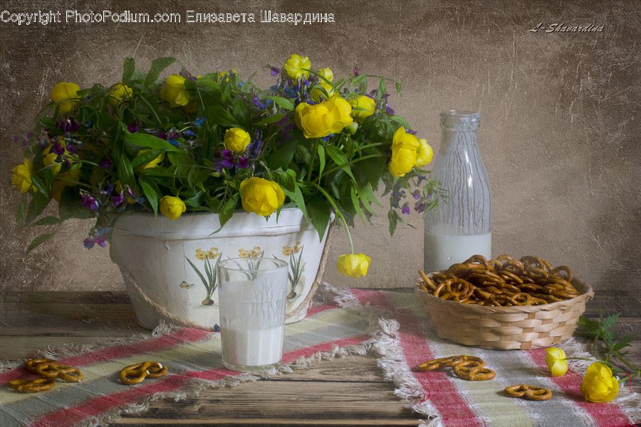 Plant, Potted Plant, Glass, Goblet, Pot, Pottery, Bowl