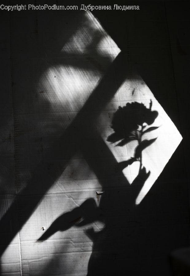 Silhouette, Dance, Dance Pose, Arm