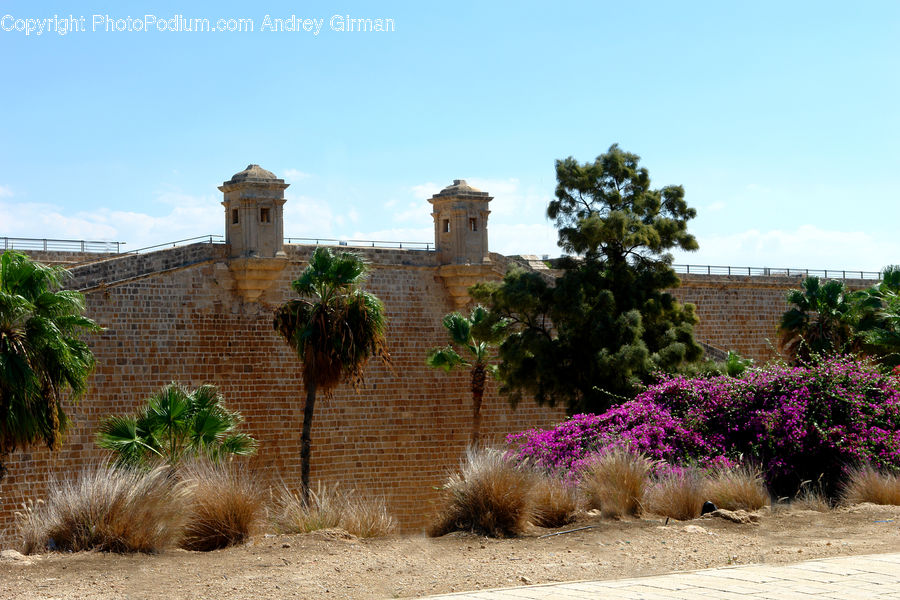 Brick, Castle, Fort, Bush, Plant, Vegetation, Lavender