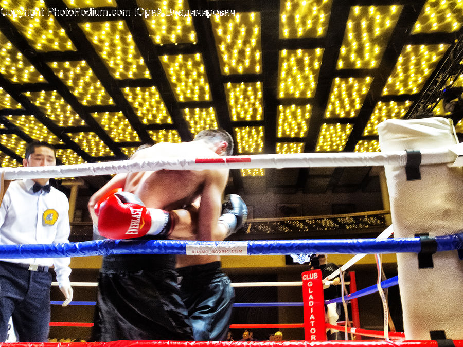 Boxing, Fitness, Sport, People, Person, Human, Bag