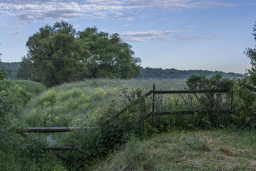 Grassland, Mound, Dirt Road, Gravel, Road, Field, Grass