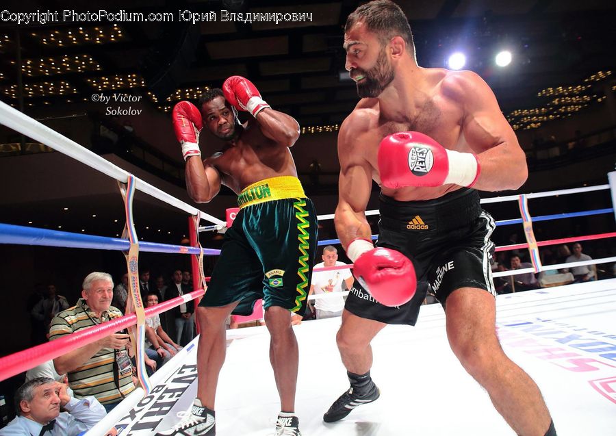 Boxing, Fitness, Sport, People, Person, Human, Team
