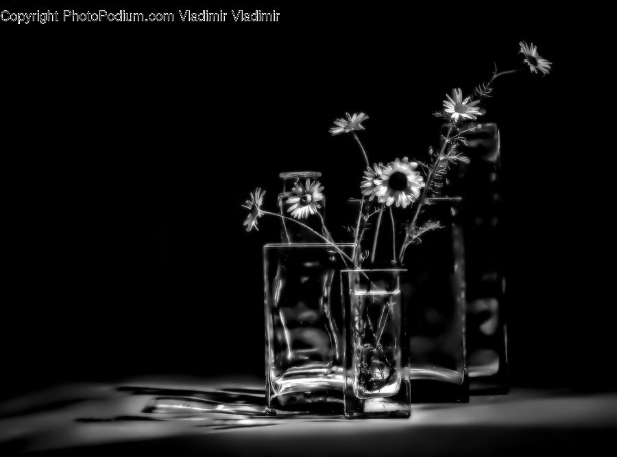 Fireworks, Night, Jar, Porcelain, Vase, Glass, Plant