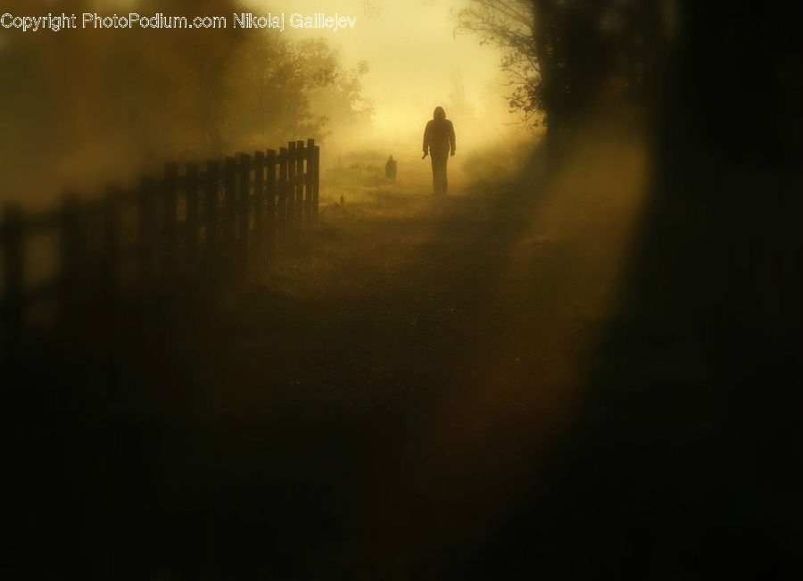 Fog, Mist, Outdoors, Dawn, Dusk, Sky, Sunrise