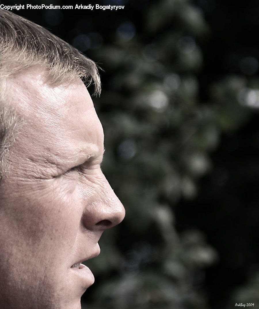 People, Person, Human, Face, Head, Portrait