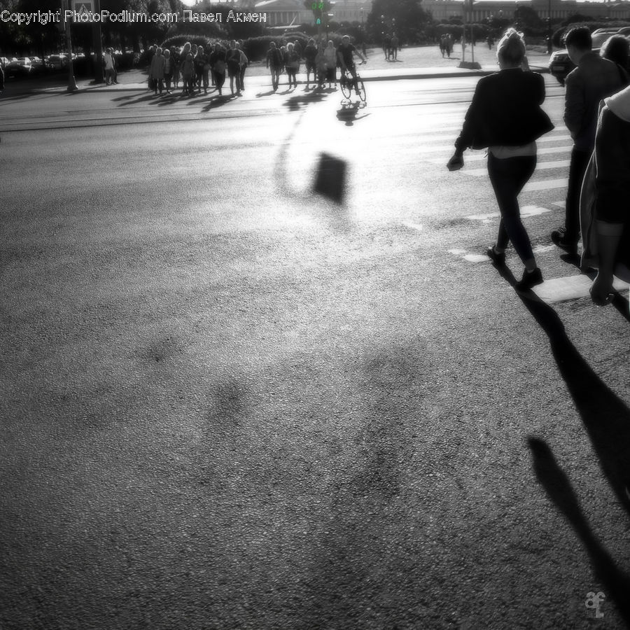 Human, People, Person, Asphalt, Tarmac, Officer, Police