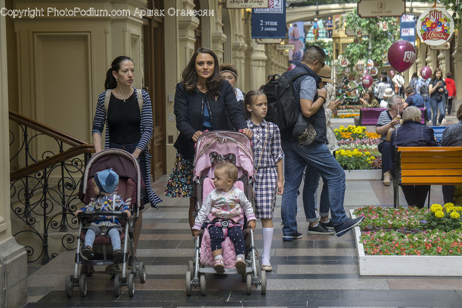 Stroller, People, Person, Human, Bench, Carriage, Horse Cart