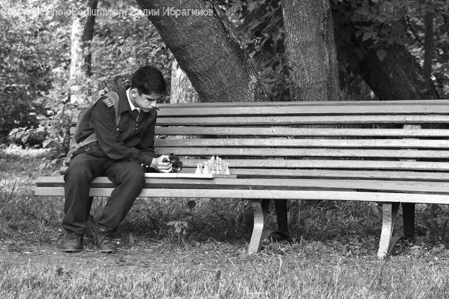 Human, People, Person, Park Bench, Bench
