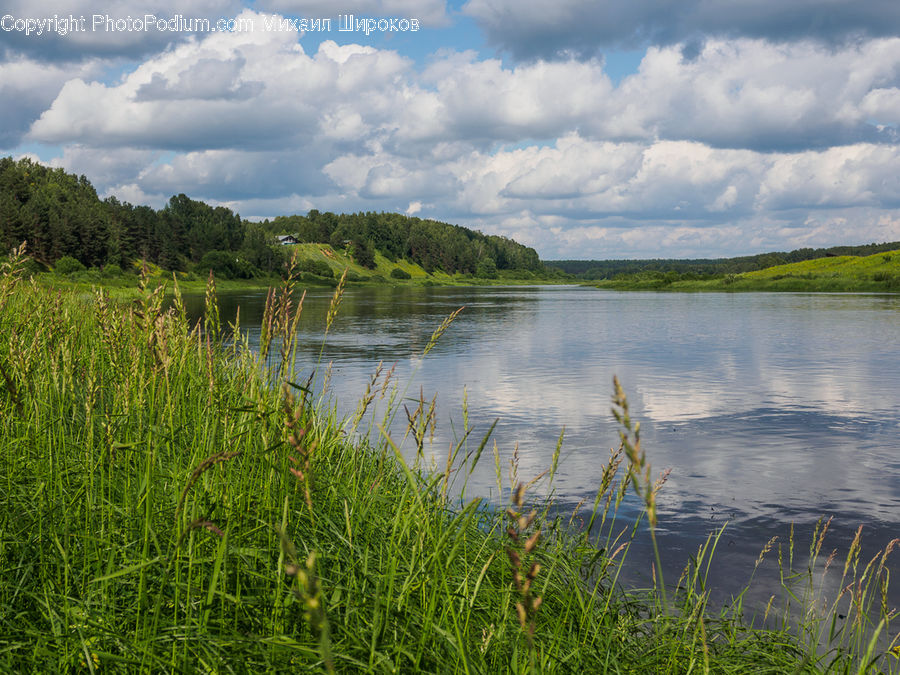 Field, Grass, Grassland, Plant, Outdoors, Pond, Water