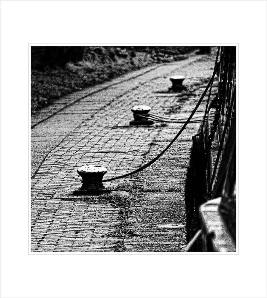 Forest, Vegetation, Asphalt, Tarmac, Diagram, Plan, Collage