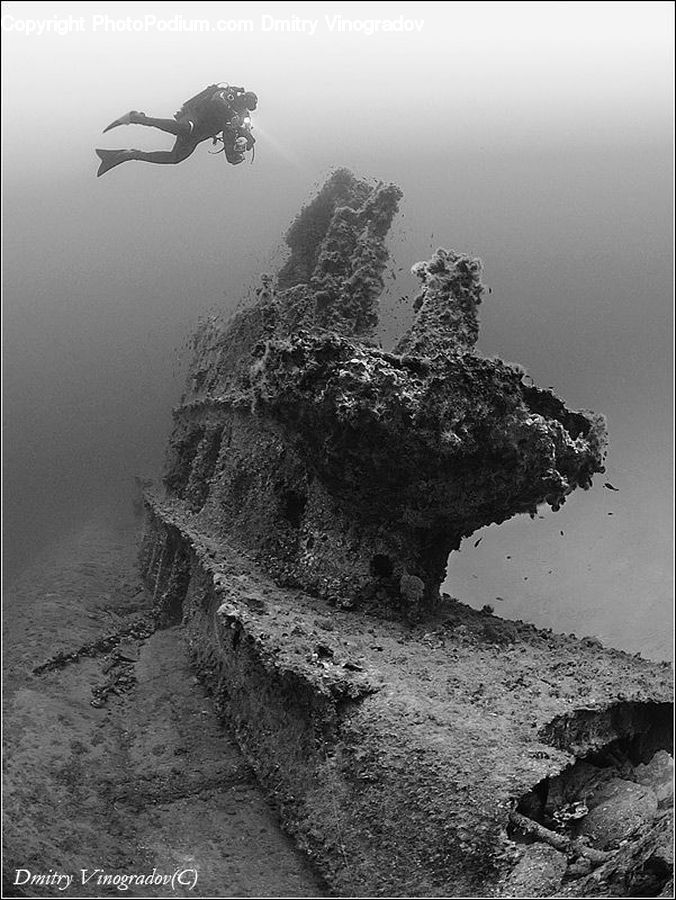 Coast, Outdoors, Sea, Water, Plant, Tree, Diver
