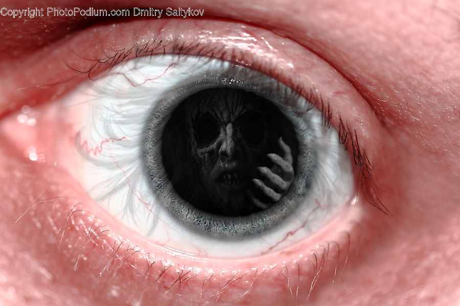 Contact Lens, Human