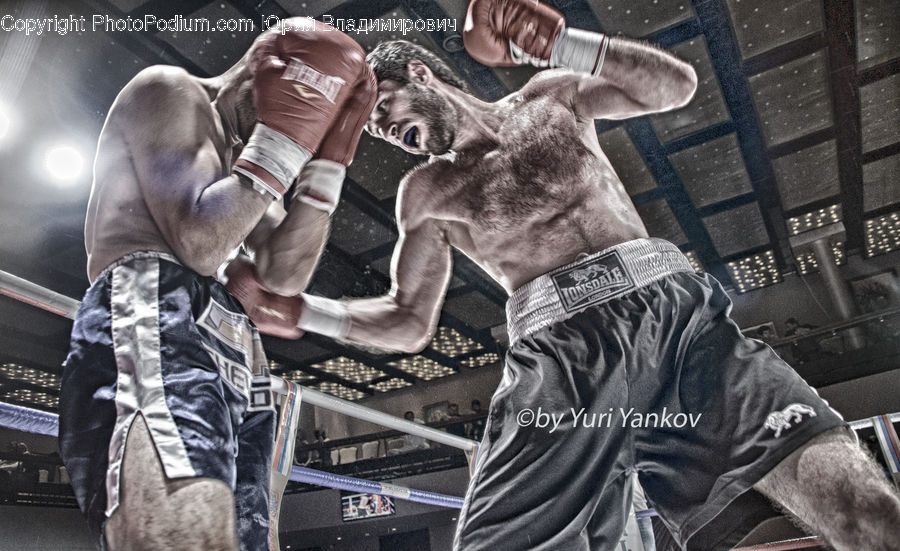People, Person, Human, Boxing, Fitness, Sport, Performer