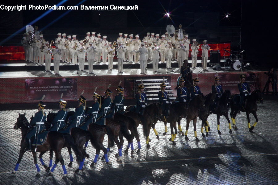 Animal, Horse, Mammal, Equestrian, Person, Carnival, Crowd