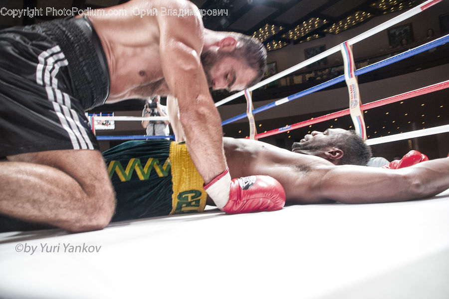 People, Person, Human, Boxing, Fitness, Sport, Animal