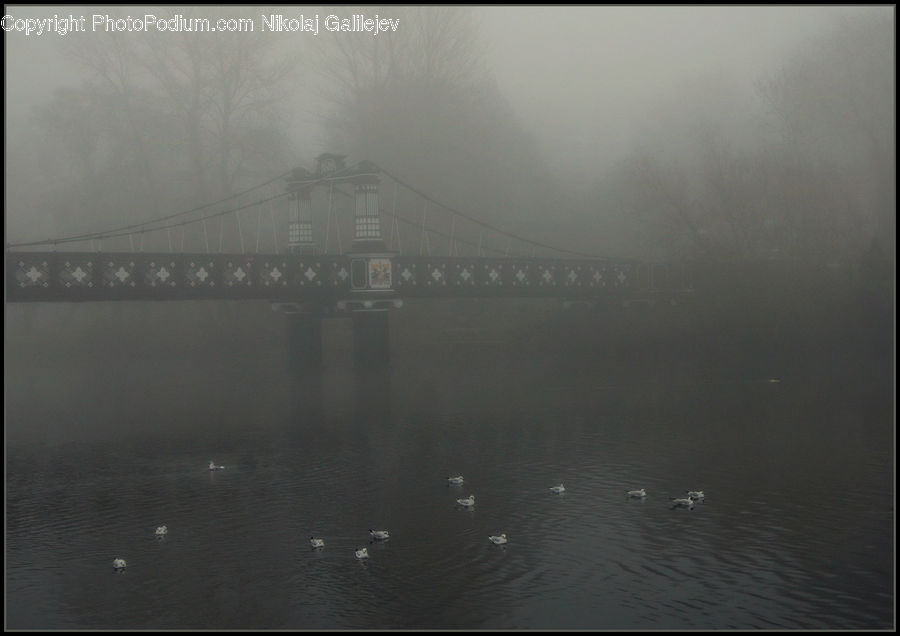 Fog, Mist, Outdoors