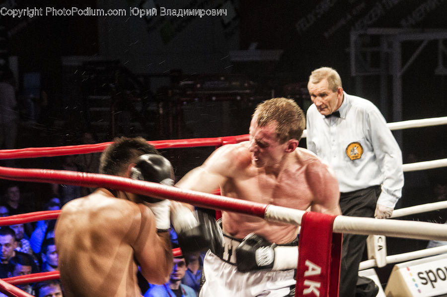 Boxing, Fitness, Sport, People, Person, Human, License