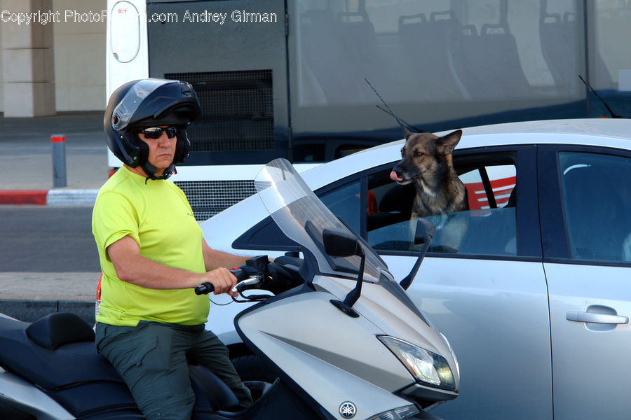 People, Person, Human, Automobile, Car, Vehicle, Motor Scooter
