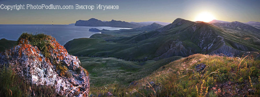 Coast, Outdoors, Sea, Water, Bush, Plant, Vegetation