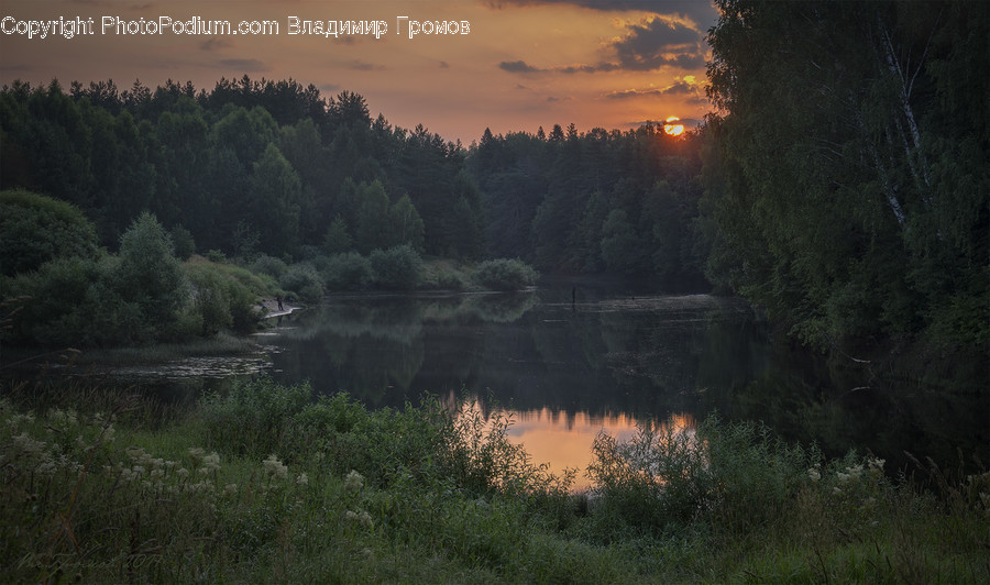 Dawn, Dusk, Sky, Sunrise, Sunset, Red Sky, Forest