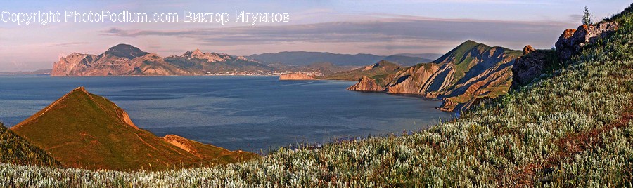 Coast, Outdoors, Sea, Water, Cliff, Promontory, Bush
