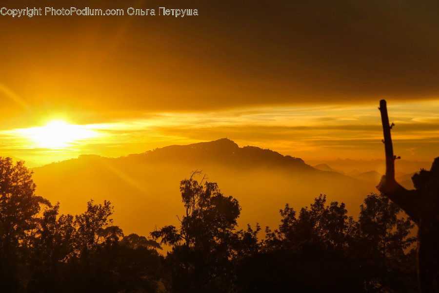 Dawn, Dusk, Sky, Sunrise, Sunset, Sun, Plant