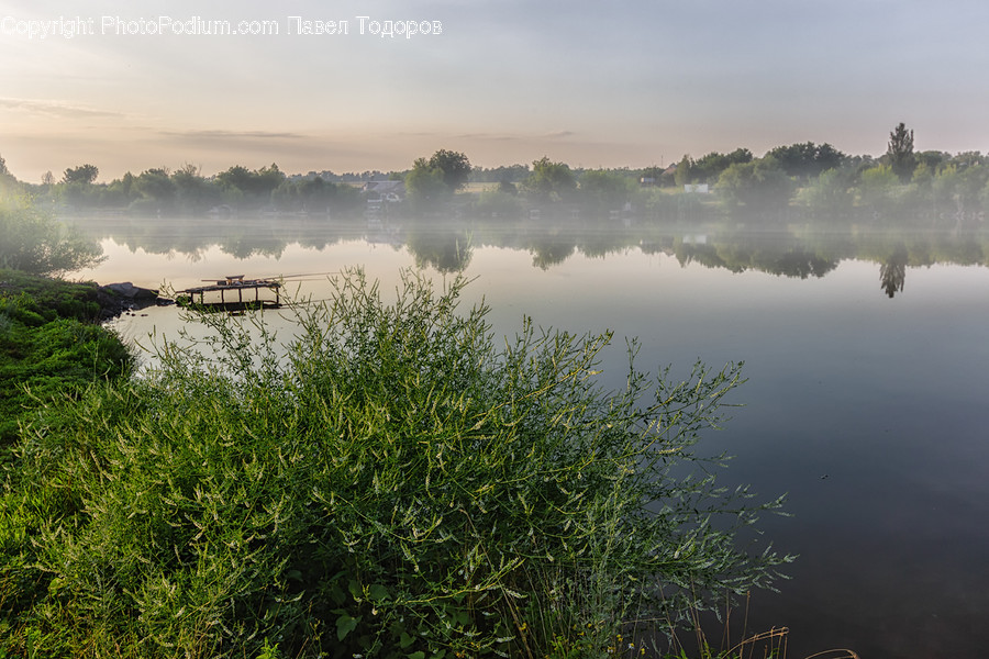 Dawn, Dusk, Sky, Sunrise, Sunset, Fog, Grass
