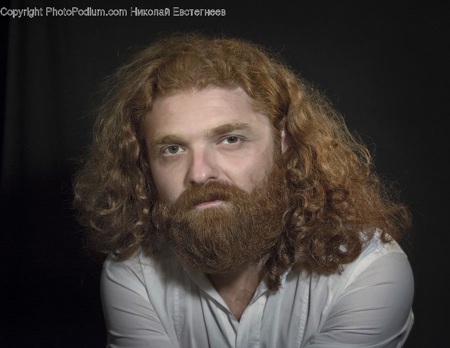 Human, People, Person, Beard, Hair