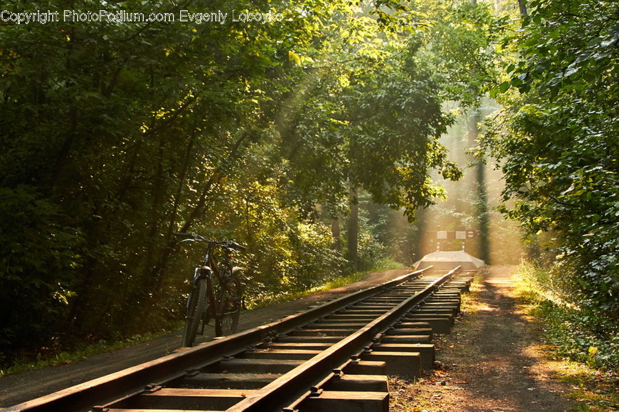 Dirt Road, Gravel, Road, Path, Walkway, Rail, Train Track