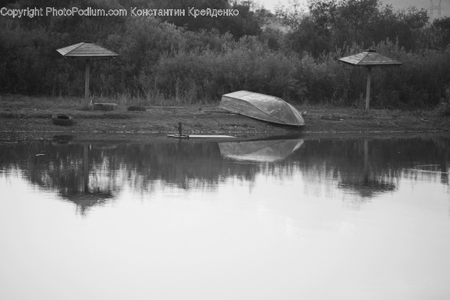 Countryside, Outdoors, Land, Marsh, Swamp, Water, Pond