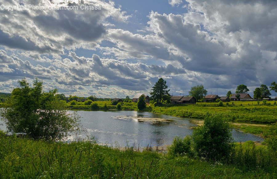 Field, Grass, Grassland, Land, Outdoors, Cloud, Cumulus