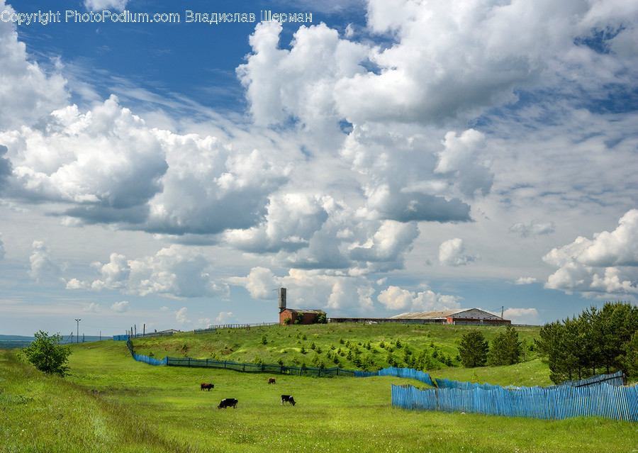 Cloud, Cumulus, Sky, Field, Grass, Grassland, Land