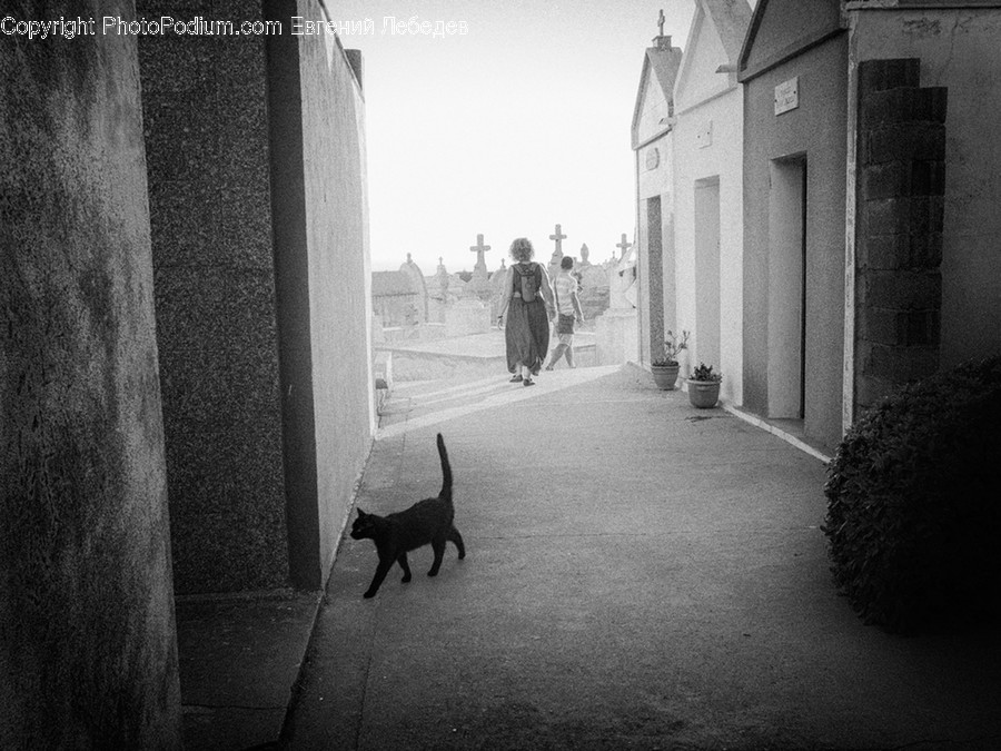 Alley, Alleyway, Road, Street, Town