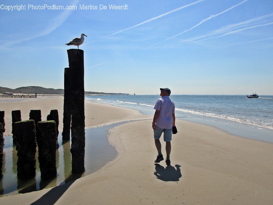 Human, People, Person, Beach, Coast, Outdoors, Sea