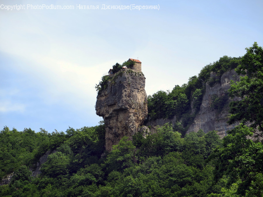 Cliff, Outdoors, Plant, Vegetation, Rock, Landscape, Nature