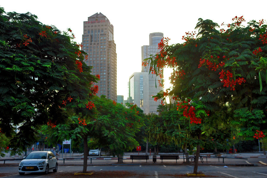 City, Downtown, Metropolis, Urban, Building